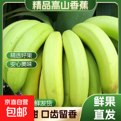 高山 广西产地直发香蕉 9斤单果110g+