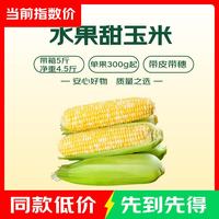 水果甜玉米（单根300g+） 带箱5斤 净重4.5斤