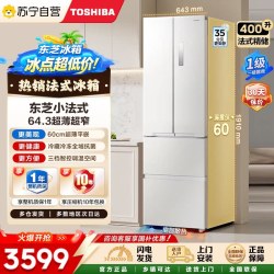 东芝 GR-RF420WI-PM171