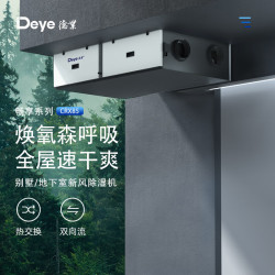 Deye 中央吊装新风除湿机 双向流热交换 别墅地下室管道式抽湿机超薄 全屋轻音除湿