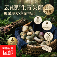 新鲜青头菌云南野生菌新鲜菌菇山珍美味煲汤特色食材新鲜青头菌 小骨朵 500g一斤净重(送青椒大蒜)