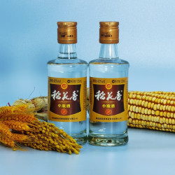 稻花香 小瓶酒 浓香型 精品口粮 收藏版 42度 125mL 2瓶 试饮