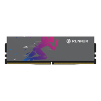 奔跑者 灵跃 DDR5 4800MHz CL40 16GB 钛晶灰 台式机内存条