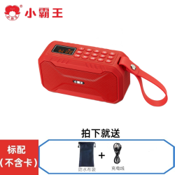 小霸王 D100 一体播放器 广场舞音响 U盘 收音机