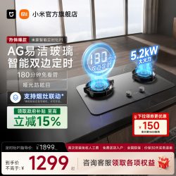 米家 P1 系列 MJ03CY 燃气灶
