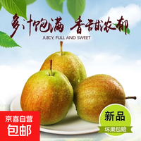 京喜加 正宗河北香梨7号特级新鲜水果梨子当季脆甜多汁媚梨 香梨带箱5斤单果150g+净重4.6斤