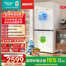 海信 囤多多571L 十字门冰箱 双系统 主动除菌净味 BCD-571E5SCQKD