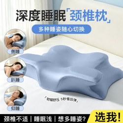 皇冠 蝶形枕头护颈椎深度睡眠女男士专用成人记忆棉靠枕抱枕午睡枕单只