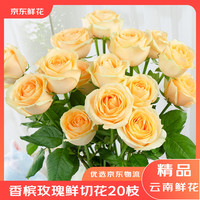 京东鲜花 情人节鲜花云南昆明基地香槟玫瑰买10枝送10枝生活鲜花源头直发