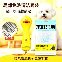 来旺兄弟 宠物美容吹风机拉毛一体吹毛梳狗狗猫咪洗澡毛发蓬松