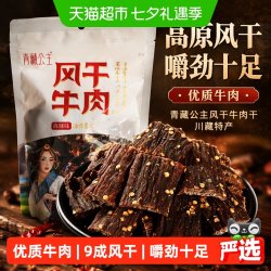 青藏公主 风干牛肉干川藏9成耐吃休闲零食手撕肉脯牦牛沟特产