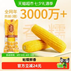天勤粒粒净 有机黄糯玉米新鲜糯玉米真空包装粗粮加热即食早餐