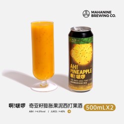 大九酿造 啊！啵啰奇亚籽膨胀果泥西打啤酒国产精酿500ml*2罐装