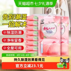 老管家 挂式除湿袋230g*10袋防潮净味盒衣橱柜宿舍防霉吸湿干燥剂