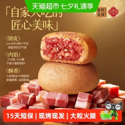 嘉华食品 月饼云南火腿饼现烤传统糕点心鲜肉月饼礼盒装480g