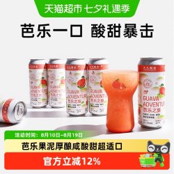 大九酿造 芭乐之旅果泥古斯啤酒国产精酿大罐全开口500ml*6罐装