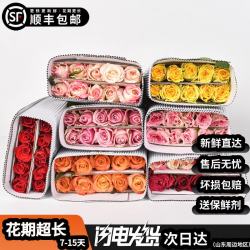 玫瑰花鲜花百合康乃馨山东基地直发顺丰包邮鲜切花插花水养真花 随机玫瑰20枝+配草1扎