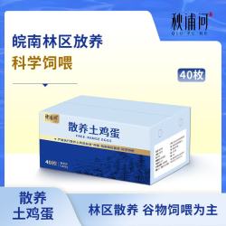 秋浦河 散养土鸡蛋40枚 净重1600g