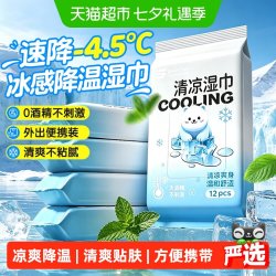 SnowDream 冷感降温湿巾户外运动擦汗薄荷清凉冰感便携小包湿纸巾