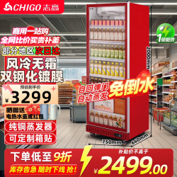 志高 展示柜冷藏大容量饮料柜冰柜