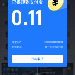 淘宝-拍拍乐 每日拍照最高可领0.48元 实测0.11元（每日可领）