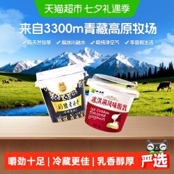 小西牛 青藏奶源 老酸奶特色低温酸奶 源头直发