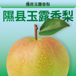 隰悦 玉露香梨当季9粒 70+mm