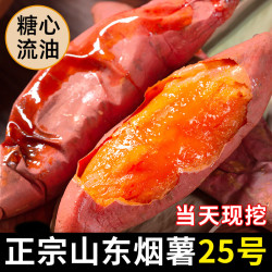 春福乐 正宗山东烟薯25号 蜜薯糖心流油红薯烤红薯专用沙地地瓜番薯山芋 5斤精选装净4斤