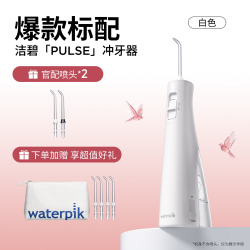 waterpik GS8 便携式水牙线