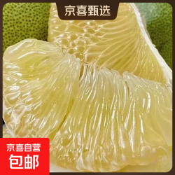 京喜加 青皮发货收到止水几天口感更佳】云南傣柚 白肉柚子新鲜柚子1粒装 2粒装-单果净重1.5-2斤