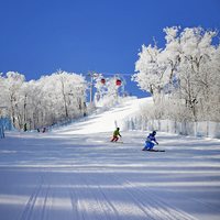 长白山万达度假区3店2-3晚连住+2大1小雪季权益
