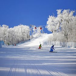 长白山万达度假区3店2-3晚连住+2大1小雪季权益