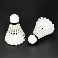 百亿补贴：华美 A2 羽毛球 正品包邮