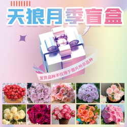 天狼 月季1.2L合集花园阳台庭院四季植物美观盆栽地栽