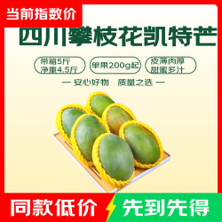 京东 四川攀枝花凯特芒 单果200g+ 带箱5斤 净重4.5斤