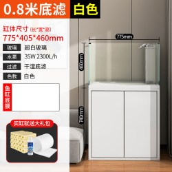森森 底滤鱼缸兰寿缸超白金鱼缸家用客厅大鱼缸造景生态水草缸