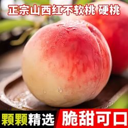 猗始 山西脆桃 新鲜水果