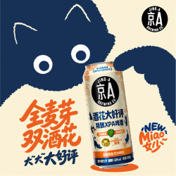 JING-A 精酿啤酒 超级淡色艾尔XPA 酒花大好评500ml*12罐七夕送礼