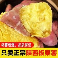 如叶 陕西板栗红薯10斤新鲜粉糯蜜薯超甜山芋沙地白心番薯地瓜