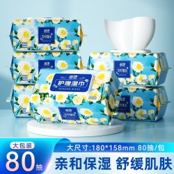 蓝漂 80抽大包湿巾纸婴幼儿童宝宝手口屁可用加大加厚实惠装亲肤湿纸巾
