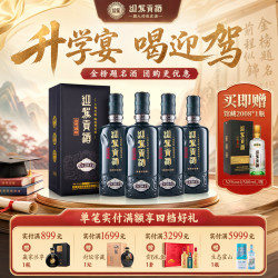 迎驾贡酒 白酒 浓香型 迎驾洞藏16洞藏20  收藏送礼 42度 500mL 4瓶