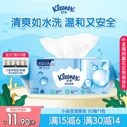 舒洁 湿厕纸 80片