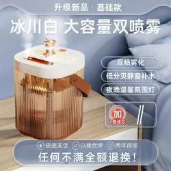 路奈 双喷口大容量2026新款加湿器家用小型静音便携宿舍学生空调房卧室usb孕妇婴儿空气办公室桌面迷你喷雾