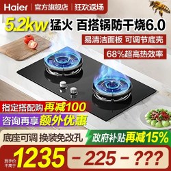 海尔 麦浪QGBE2天然气燃气灶煤气灶双灶家用防干烧煤气炉灶台灶具