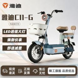 雅迪 C11日常通勤代步电动自行车新新国标长续航48V21A