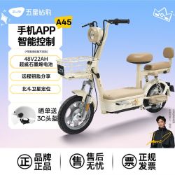 五星钻豹 48V22Ah电动车新国标电动自行车男女式通勤代步电瓶车A45