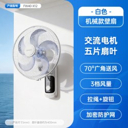 艾美特 壁扇电风扇家用遥控挂壁式电扇厨房风扇强力工业壁挂RD12