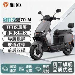 雅迪 电动车冠能龙霆70长续航通勤代步电动摩托车72V23A