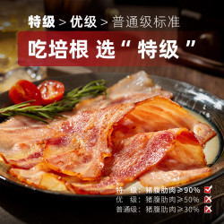 福瑞斯 特级欧式五花培根 840g 早餐烤肉烧烤空气炸锅猪肉
