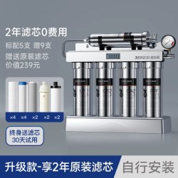 德克西 德国德克西政府补贴净水器家用直饮净水机厨房不锈钢自来水过滤器